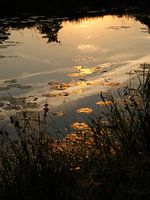 Goud op het water.
