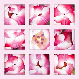 close up bouquet tulip by Tessy Graas