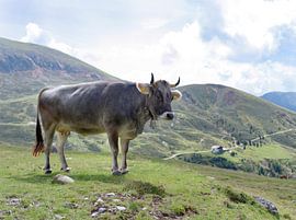 Er is geen zonde op de bergweide! van Hans Rodewald