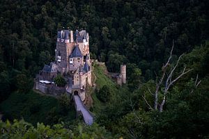 Château de conte de fées Burg Eltz dans les forêts sombres