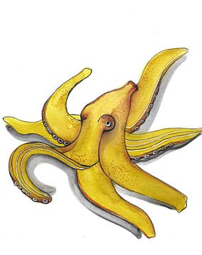 Bananen octopus van LinesbyAg