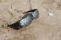 Wandelen aan het strand