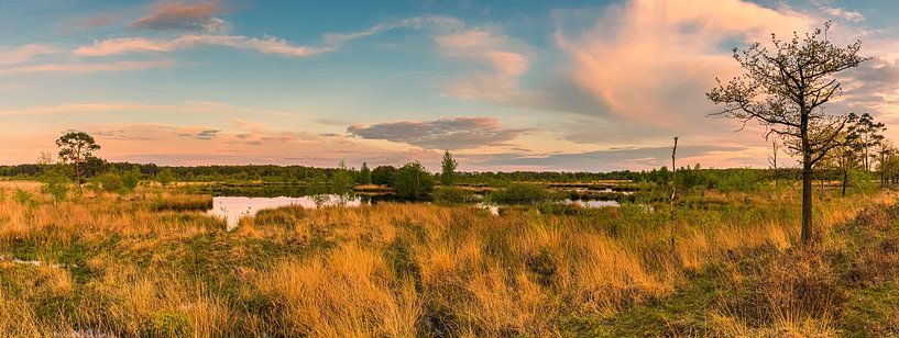 Panorama of National Park Dwingelderveld by Henk Meijer Photography