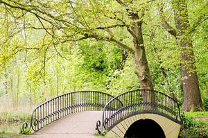Brücke unter den Bäumen in einem frühlingshaften Park von Birgitte Bergman