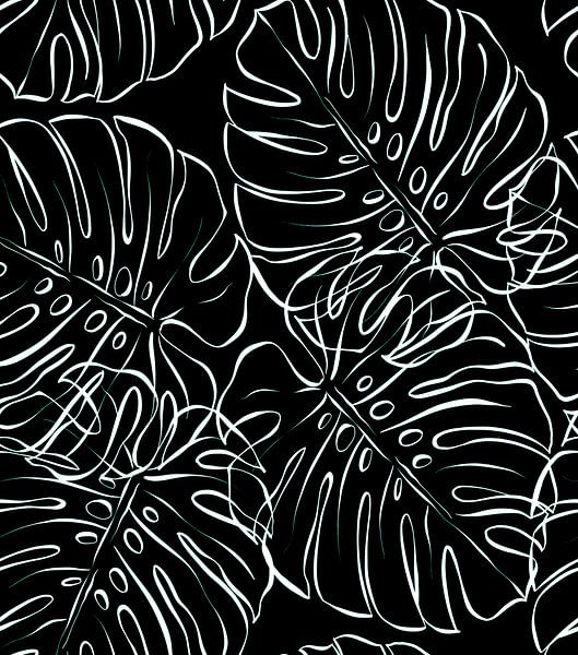 Monsteras noir et blanc par Monfrey Cavalier