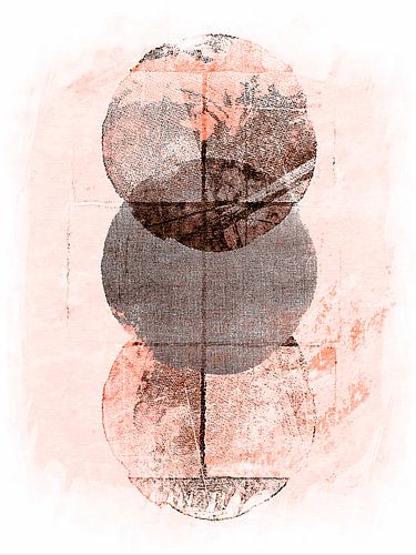 Scandinavisch minimalisme Aardse roos