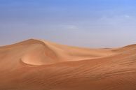 Empty Desert van Bart Hendrix thumbnail