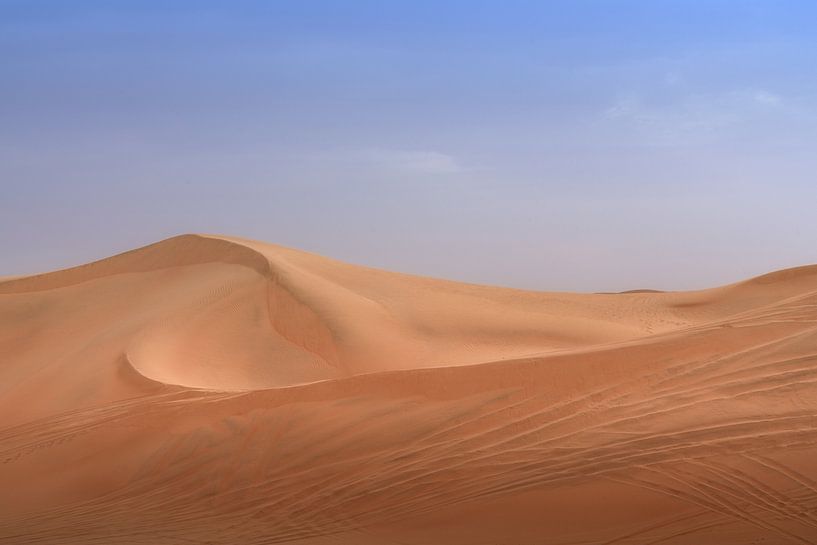 Empty Desert van Bart Hendrix