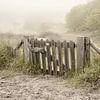 Zugang zu den nebligen Dünen in Noordwijk. von Alie Ekkelenkamp