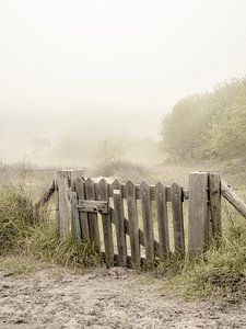 Zugang zu den nebligen Dünen in Noordwijk.