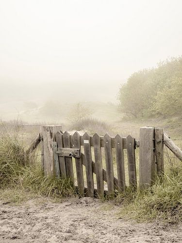 Mistige duinen in Noordwijk. Wabi-Sabi.