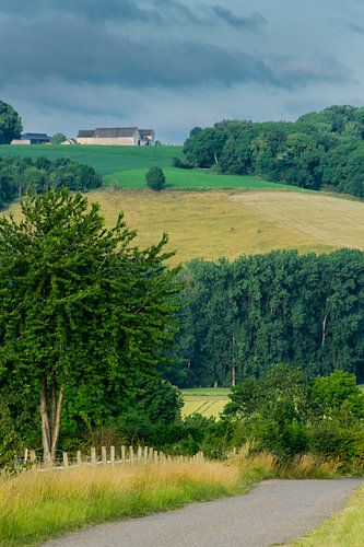 Hilly landscape from Fromberg