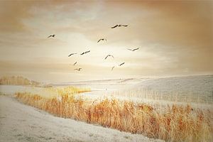 Conte de fées hivernal sur les quais sur Maneschijn FOTO