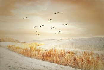 WinterSprookje aan de dijk