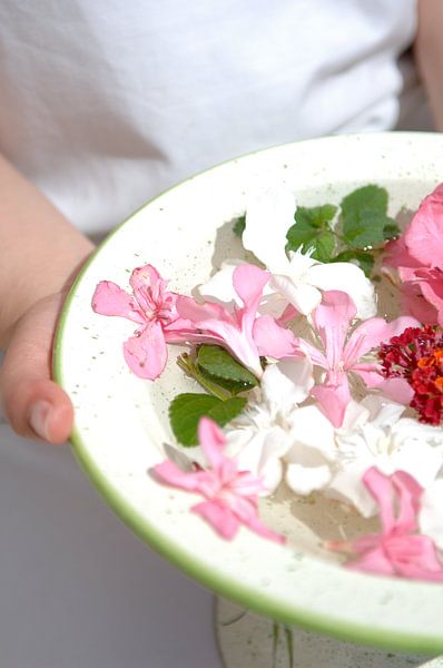 fleurs par Ruud Stokkel