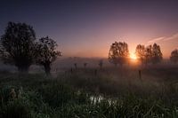 Lever de soleil dans le brouillard