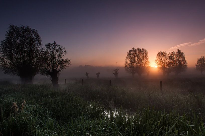 Sonnenaufgang im Nebel von Maurice Hertog