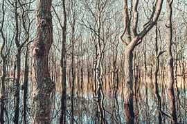 Heldersche Dünen bei Flut von eric van der eijk
