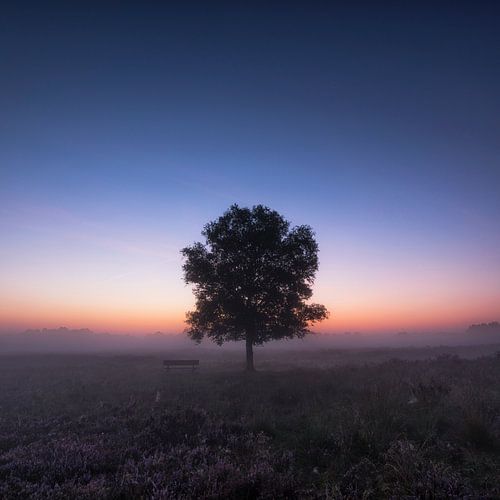 Gasterse Duinen Drenthe se réveille