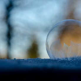 Bulle congelée III sur Gerben van den Hazel