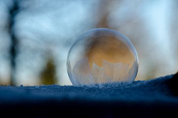 Winter - Bevroren zeepbel III van Gerben van den Hazel