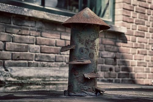 Stalen beeld van een paddenstoel