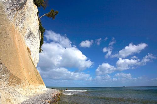 Krijtrotsen op het eiland Rügen