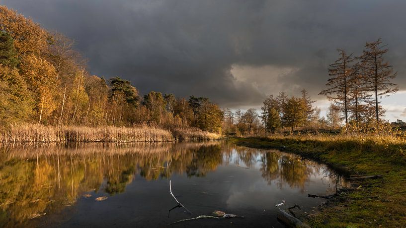 Surae, Dorst forestry by Patrick Rosenthal