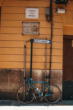 Palma de Mallorca - Mallorca - Spanje van Ilse Wouters