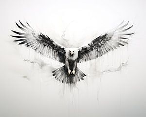 Adler | Eagles