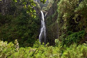 A waterfall amidst the forests of Madeira Island sur Paul Wendels