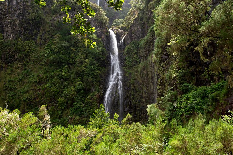 Een waterval midden in de bossen van Madeira Island par Paul Wendels