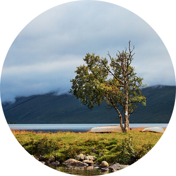 Boom  aan het Helin meer in Noorwegen van Klaas Hollebeek