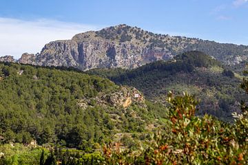 Landschap op de Coll de Soller in Mallorca van Reiner Conrad