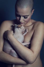 Bald Love II / Animal Women