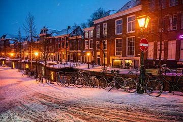Leiden - Een besneeuwde oude Rijn (0014) van Reezyard