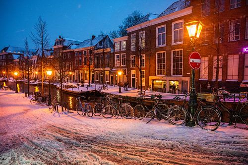 Leiden - A snowy old Rhine (0014)