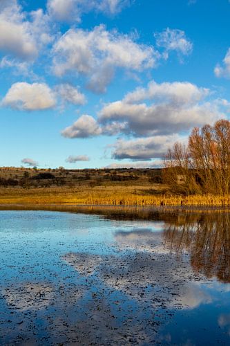 Wandeling door de prachtige Hainich Vallei