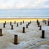 Bornes de plage sur la côte près de Bergen aan Zee sur Jos van den Berg