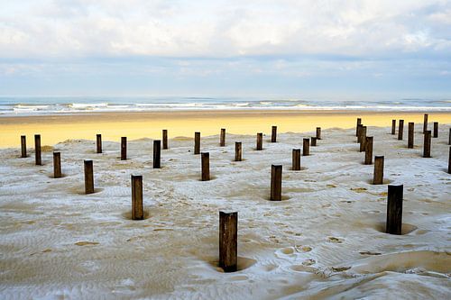 Bornes de plage sur la côte près de Bergen aan Zee
