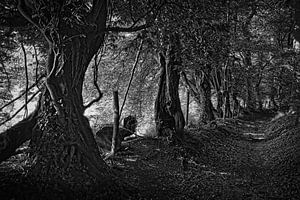 Teuven Wanderweg