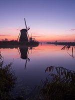 Neuer Tag in Kinderdijk
