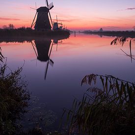 New day in Kinderdijk by Elise van den Boogaart