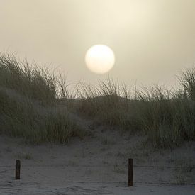 Dunes au lever du soleil sur Stephan Zaun