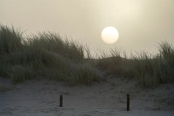 Dunes at sunrise by Stephan Zaun