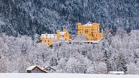 Schloss Hohenschwangau, Allgäu, Bayern, Deutschland von Henk Meijer Photography Miniaturansicht