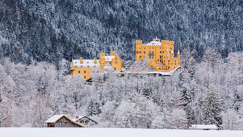 Château de Hohenschwangau, Allgau, Bavière, Allemagne par Henk Meijer Photography