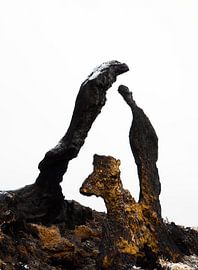 Natürliche Formen von Erna Kampman