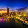 Die Erasmusbrücke und der Anblick von Rotterdam in der blauen Stunde von Bart Ros