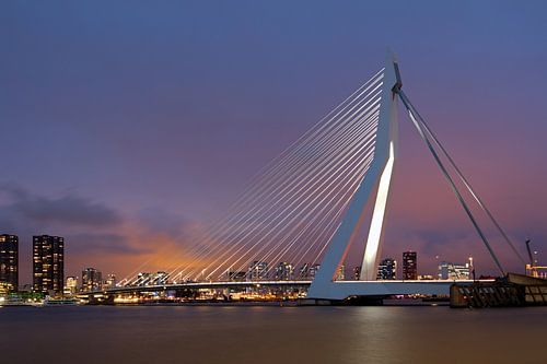 Erasmusbrug Rotterdam